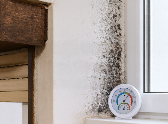 schimmel richtig lüften und heizen